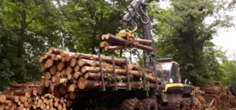 Logging in Symondshyde