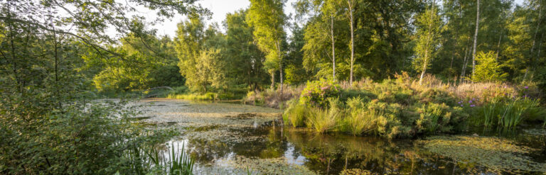 Halfway Oak Ponds Track - film locations