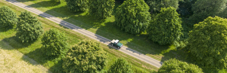 Tree Lined Avenues - Hatfield Park - Film location