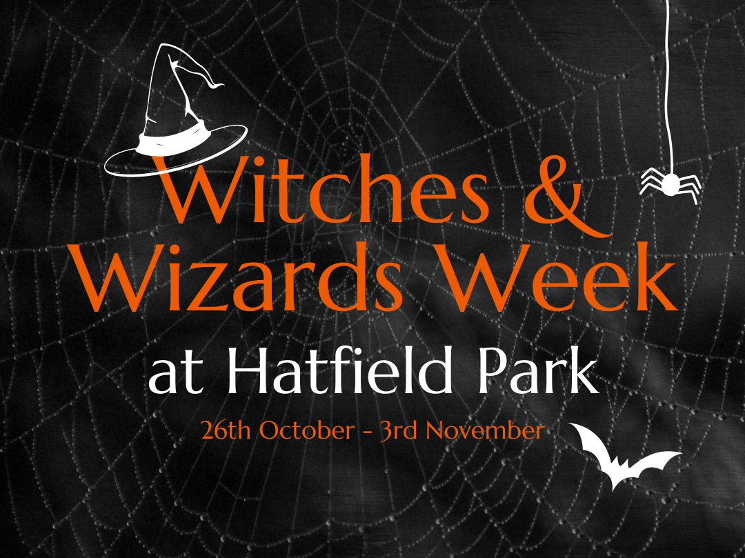 Join us for Witches & Wizards Week this October - Hatfield Park