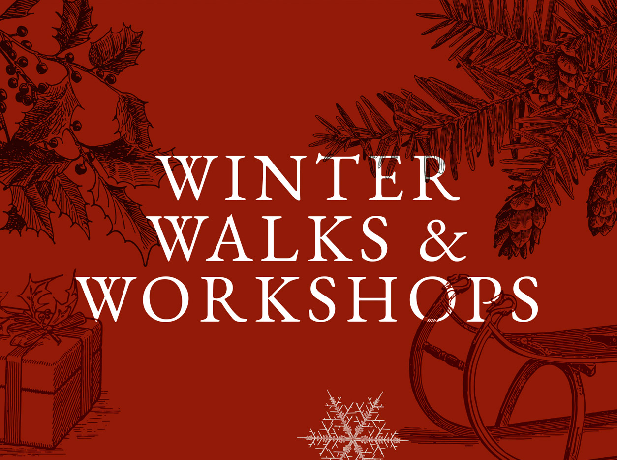 Festive Woodland Walks & Christmas Decoration Workshops Winter Walks & Workshops