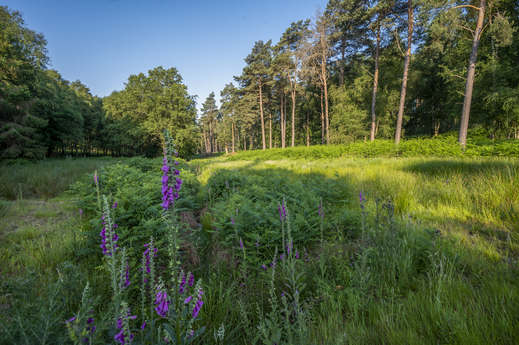 A Breath of Fresh Air: The Wellbeing Benefits of Working in an Inspiring Environment
