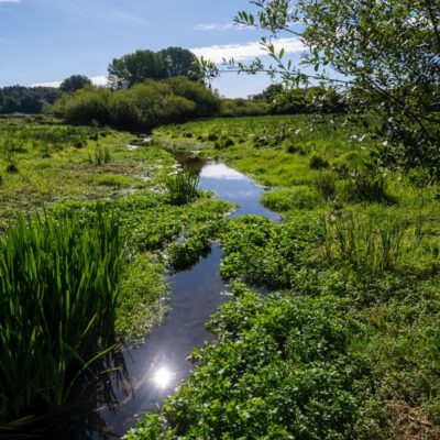 Sustainability at Hatfield Park