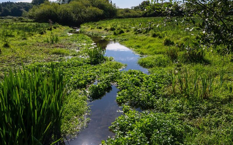 Sustainability at Hatfield Park