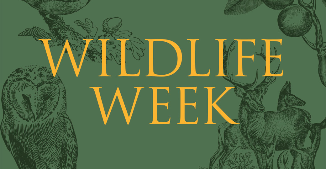 Wildlife Week - Hatfield Park