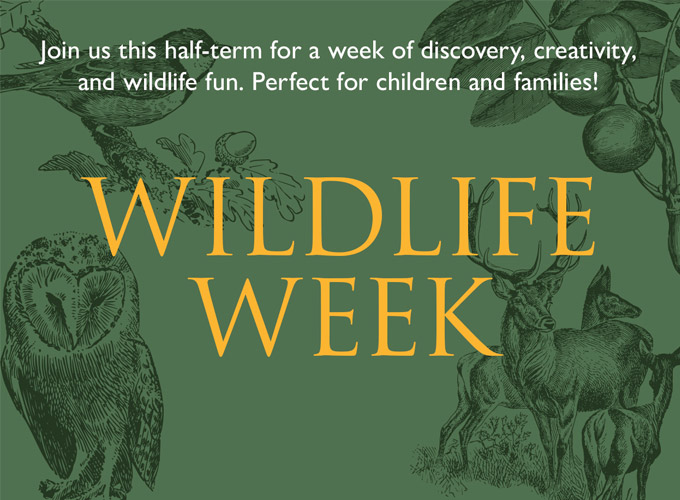 Join Us for a Week of Wildlife Wonder and Creativity! - Hatfield Park