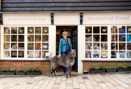 Slumbering Hound: 5 Years of Canine Comfort at Stable Yard - Hatfield Park