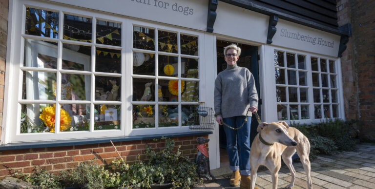 Slumbering Hound: 5 years of canine comfort at The Stable Yard