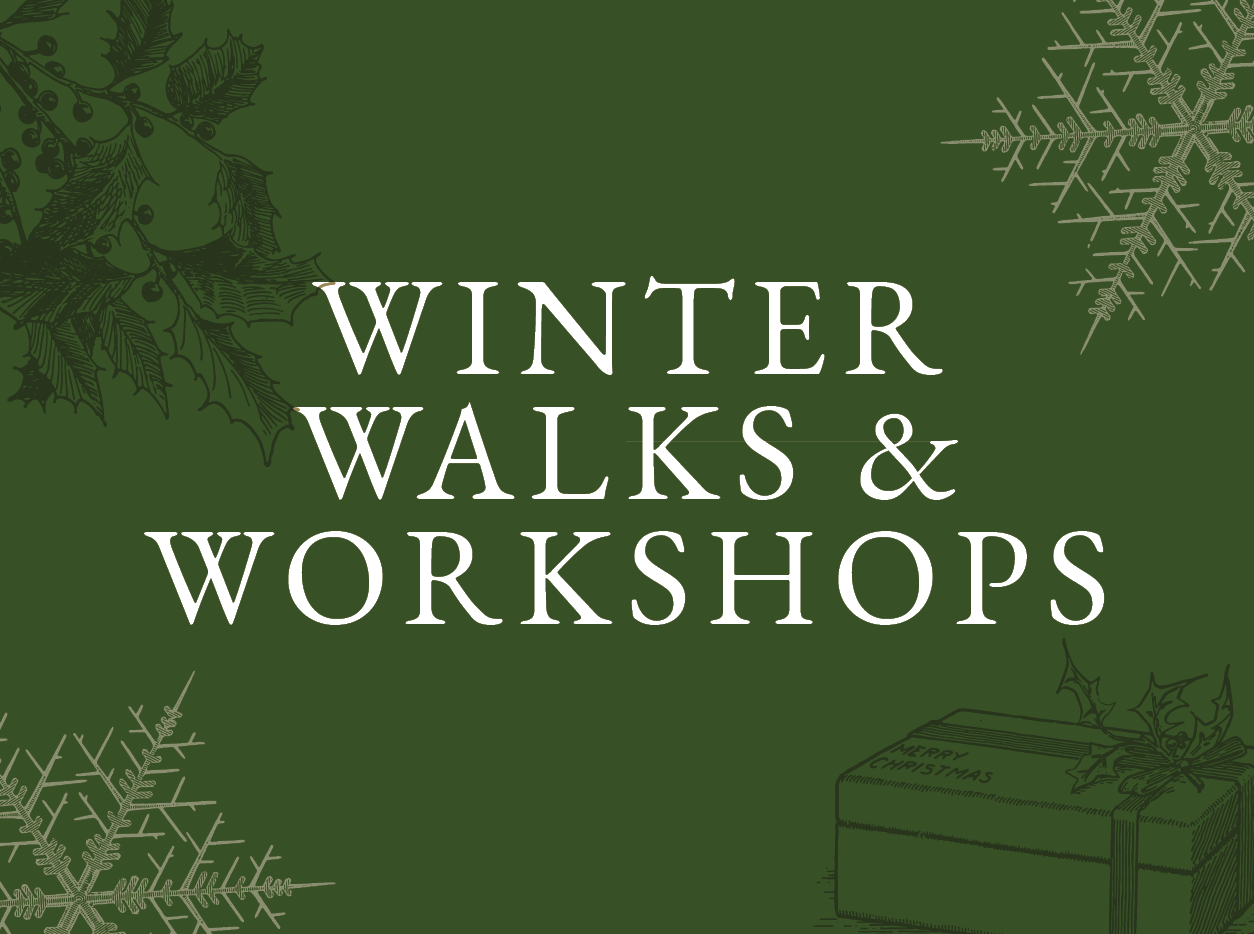  Winter Walks & Workshops