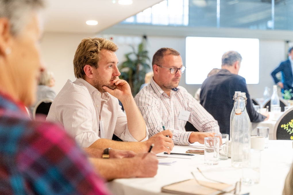 Brainstorming sessions and events at Hatfield Park