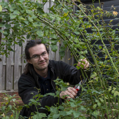 Volunteering in the gardens at Hatfield Park