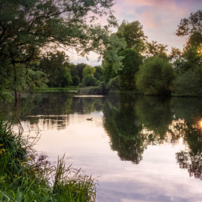Hatfield House Parkland - the lake
