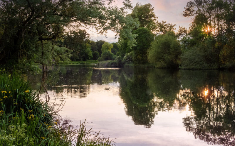 Hatfield House Parkland - the lake