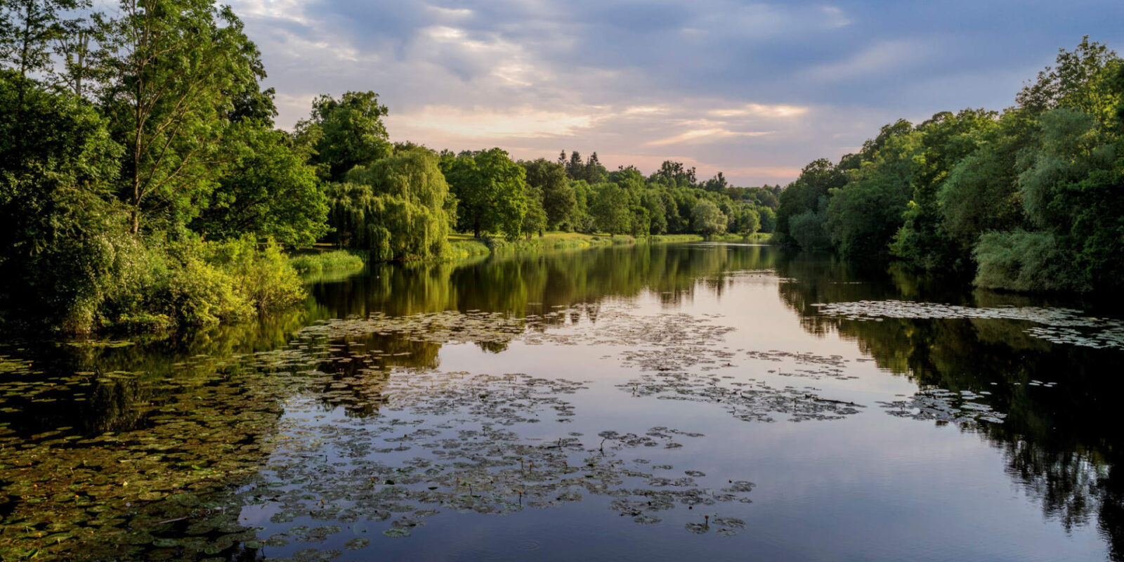 Hatfield Park volunteers - the Parkland