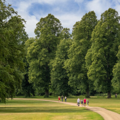 Hatfield Park - Parkland scene