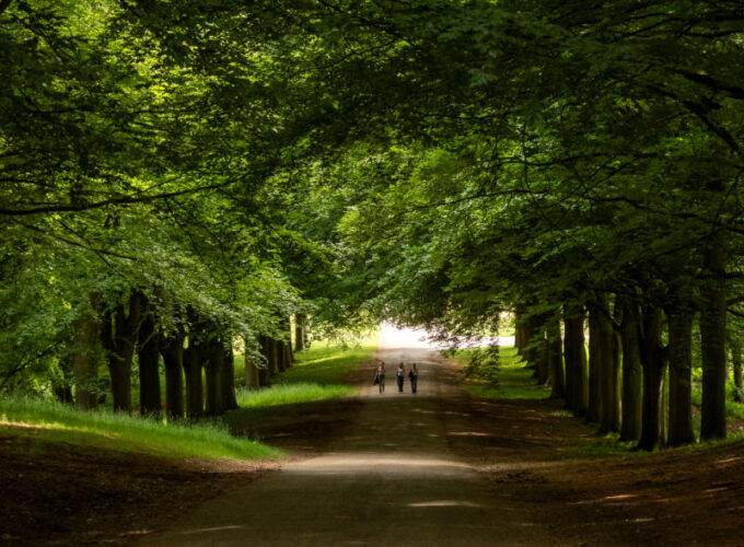 Hatfield Park Parkland - walkway - Hatfield Park