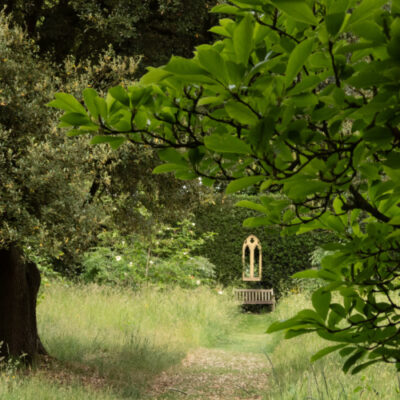 Hatfield Park - landscape with bench