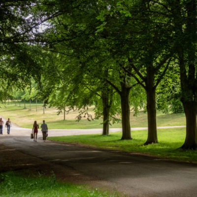 Hatfield Park - the Parkland