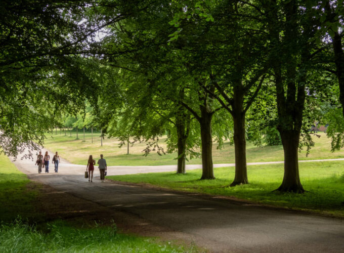 Hatfield Park - the Parkland - Hatfield Park