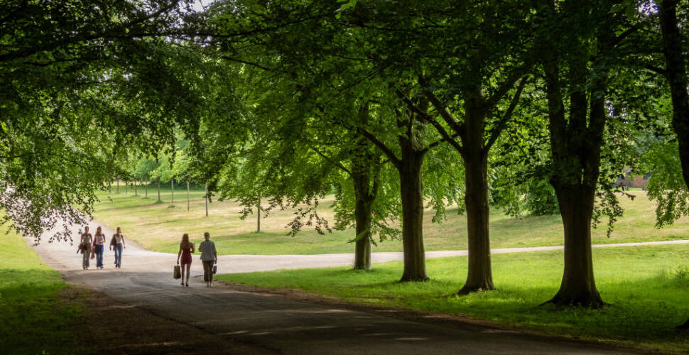 Hatfield Park - the Parkland