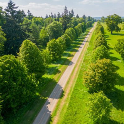 Hatfield Park - the park