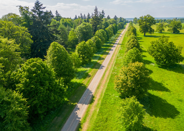 Hatfield Park - the park