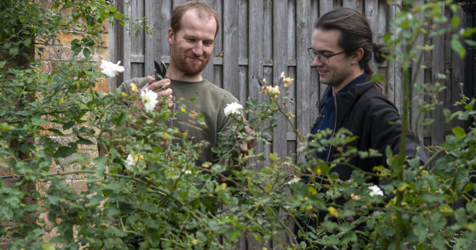 Hatfield Park volunteers in the Garden
