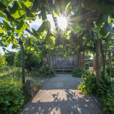 The gardens at Hatfield Park - volunteering