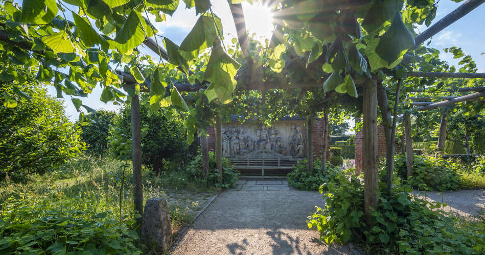 The gardens at Hatfield Park - volunteering