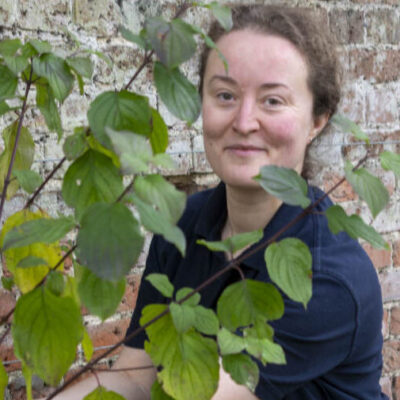 Volunteering at Hatfield Park - the gardens