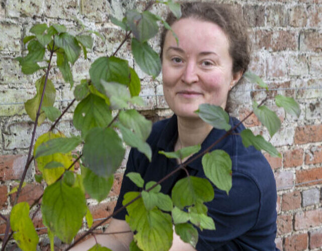 Volunteering at Hatfield Park - the gardens