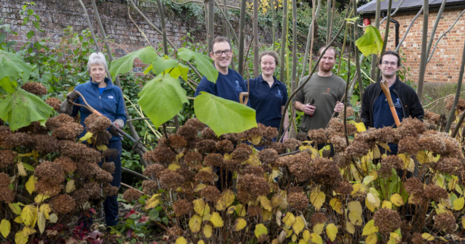 Volunteers in the Gardens - Hatfield Park