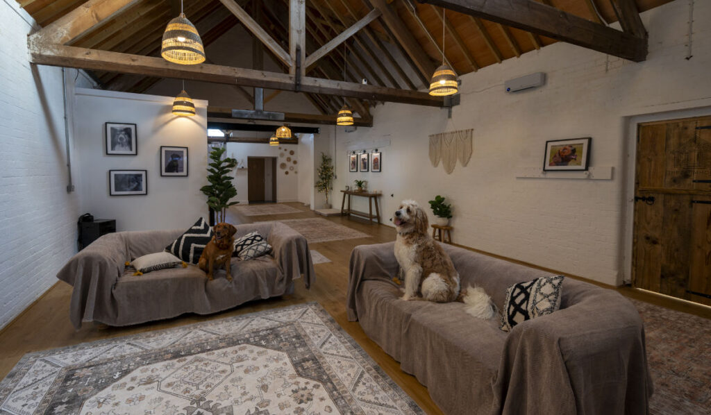 Woodhall Farmstead – Rural Workspace, Restored for Modern Business office dogs