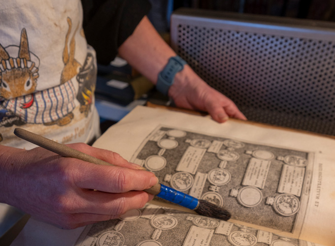 Hatfield Park Volunteering - Archives & Collections