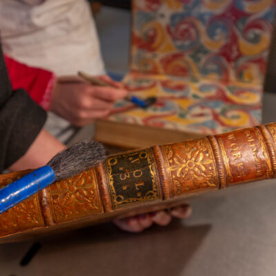 Volunteering in Archives & Collections - Hatfield Park