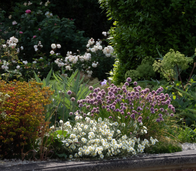 Hatfield Park - the Gardens