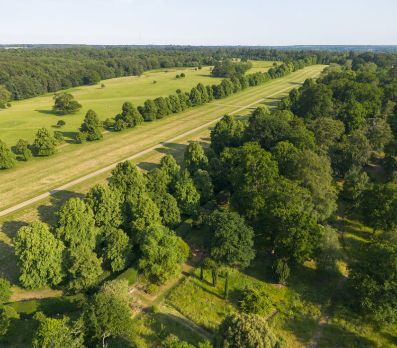 Hatfield park aerial view