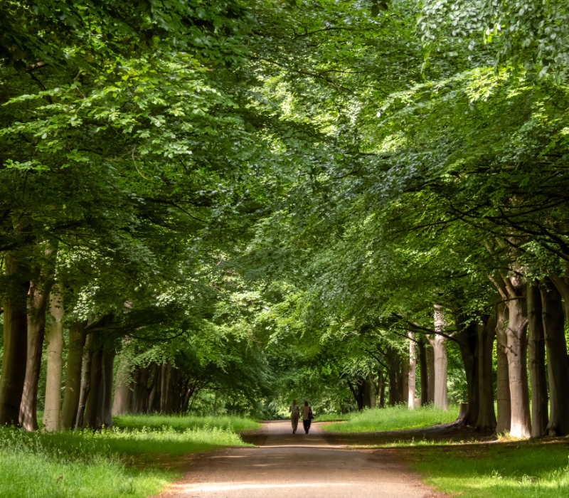 The Parkland - Hatfield Park