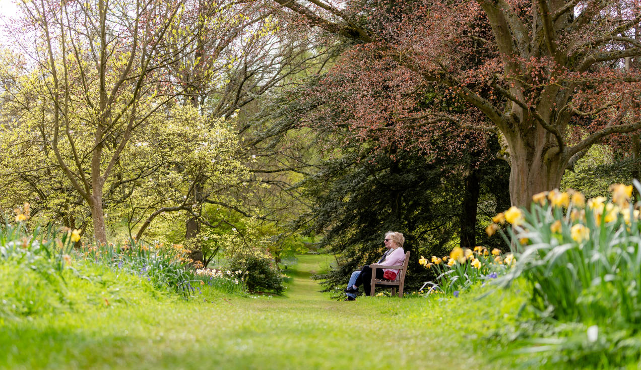 Visitors in Hatfield Park