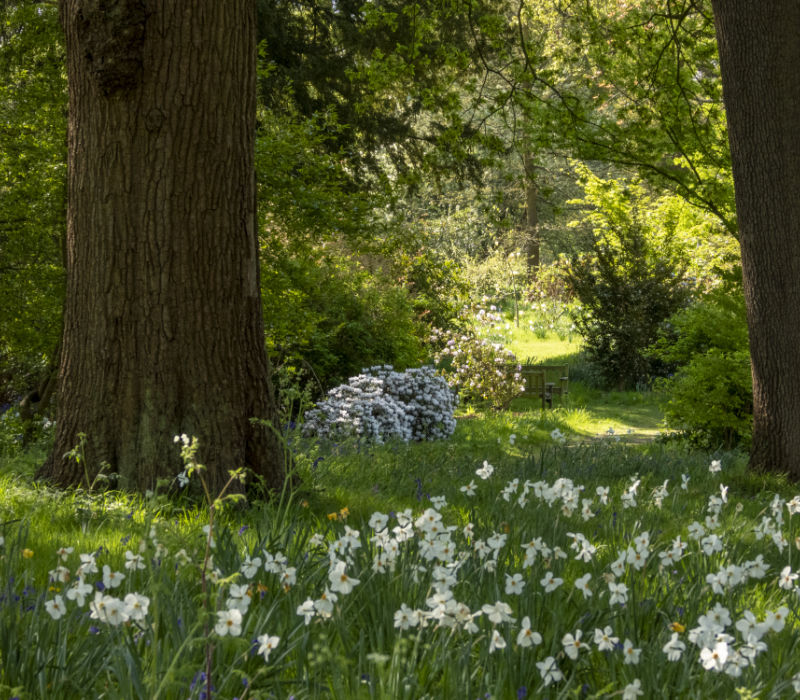 Wildlife habitat - the Parkland
