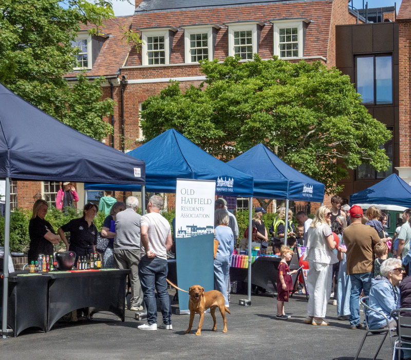 Old Hatfield and Salisbury Square launch June 2026