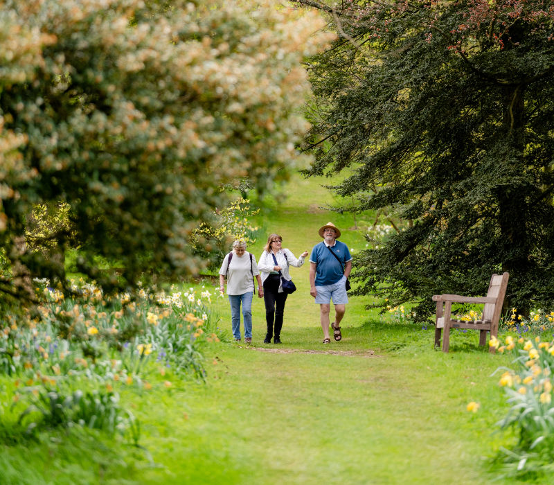 Woodland walks through the park