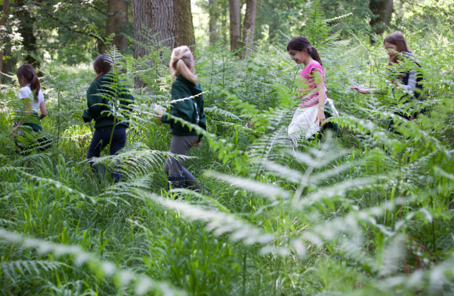 Wilderness Weekends at Hatfield House and Park 2026 - exploring