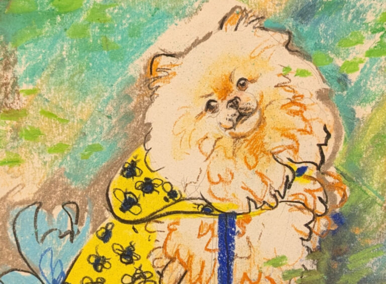 Drawing Dogs Workshop