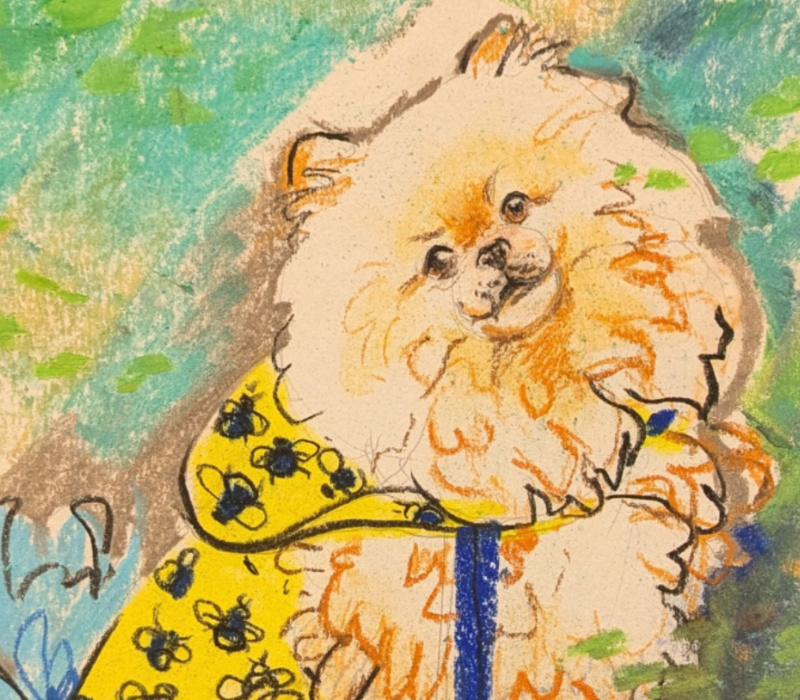 Drawing Dogs Workshops