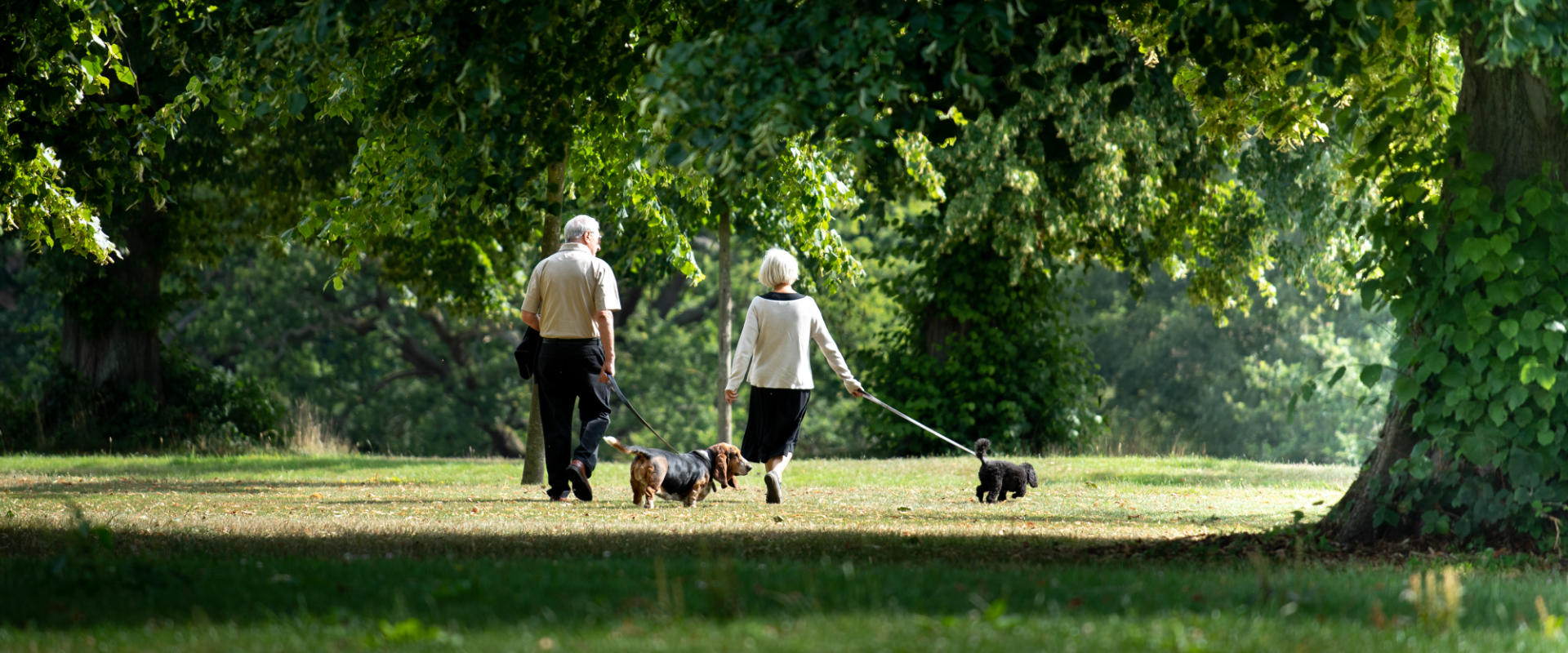 Friends of Hatfield Park - featured image - hero banner