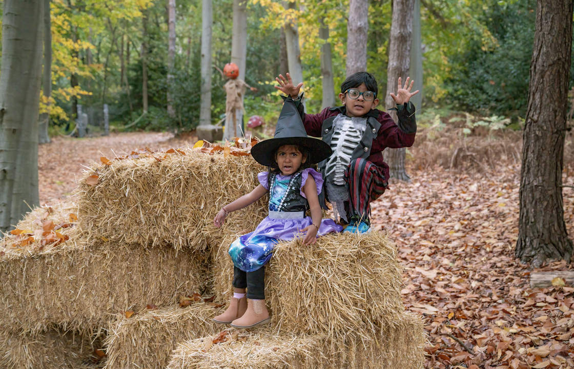 Witches and Wizards week 2026 - in the Haunted Forest