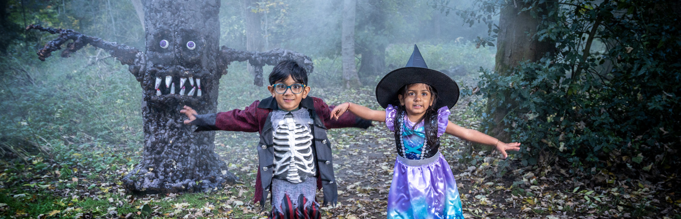 Witches and Wizards Week - Hatfield Park - 2026