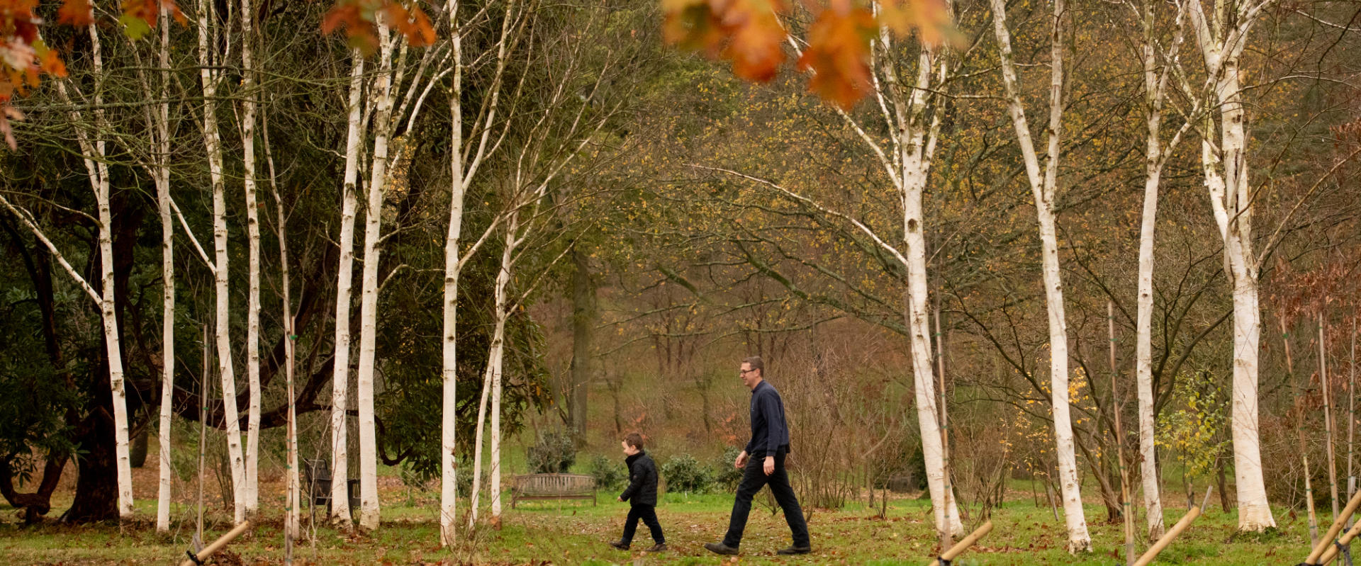 Woodlands - featured image - hero banner