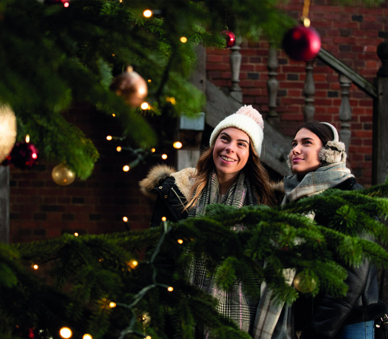 Christmas at Hatfield Park